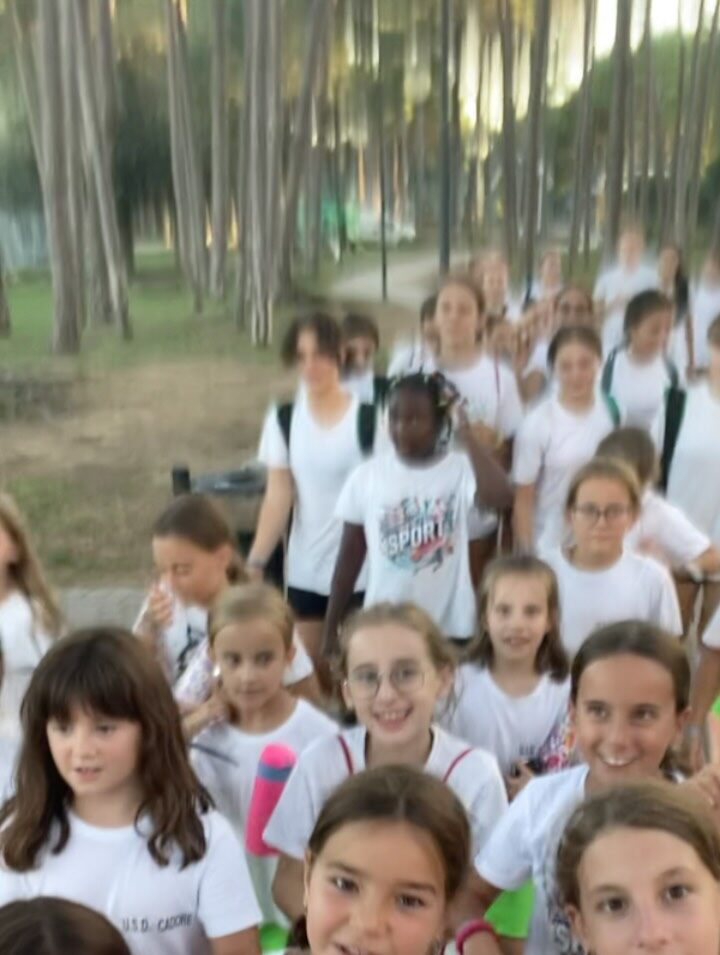Instagram post from cheerleading.cadore. This post is in position 9.