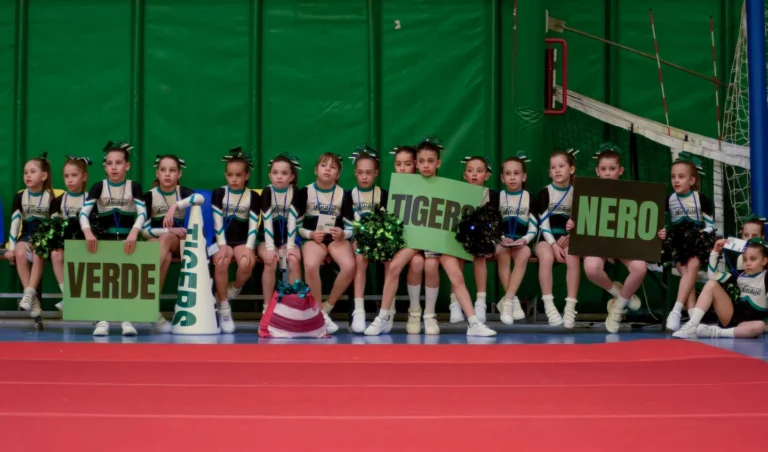 Instagram post from cheerleading.cadore. This post is in position 5.